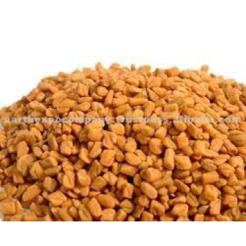 High quality fenugreek seeds